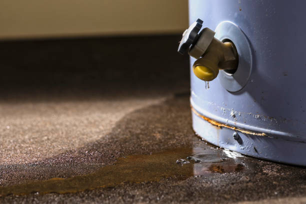 Best Water damage restoration services  in Red Corral, CA