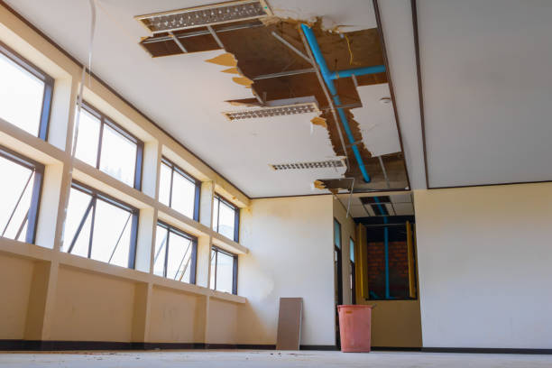 Best Water damage restoration near me  in Red Corral, CA