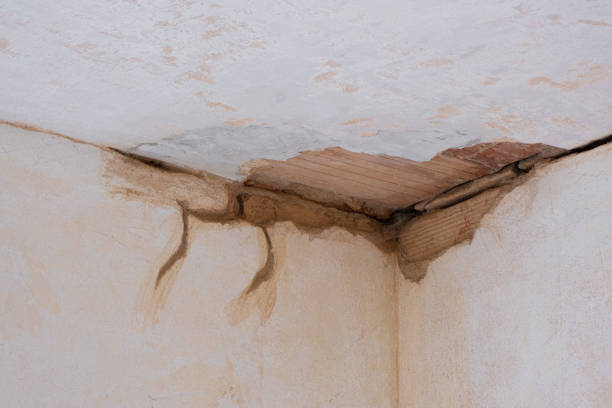 Best Water damage restoration experts  in Red Corral, CA