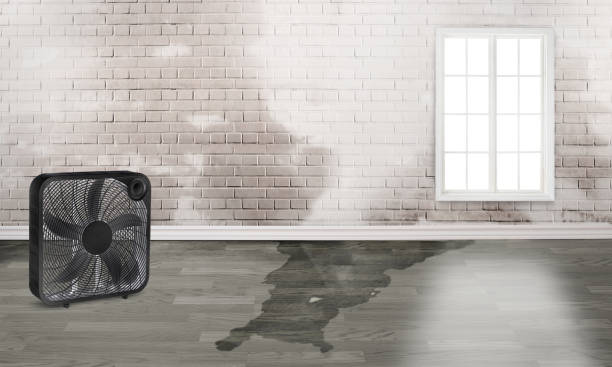 Best Carpet water damage restoration  in Red Corral, CA