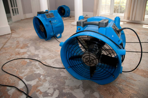 Best Water damage repair service  in Red Corral, CA