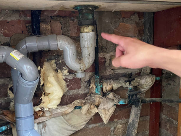 Best Mold removal after water damage  in Red Corral, CA